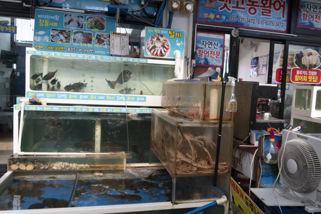 market sokcho