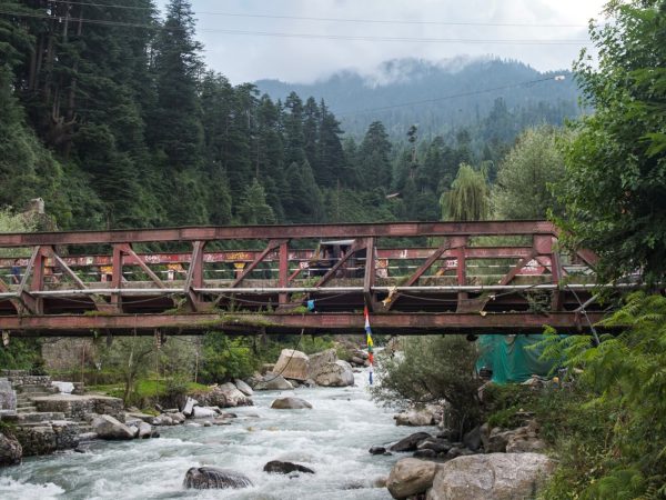 Fresh fish Manali: Full on café 