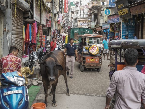 Kosten backpacken in Himachal Pradesh